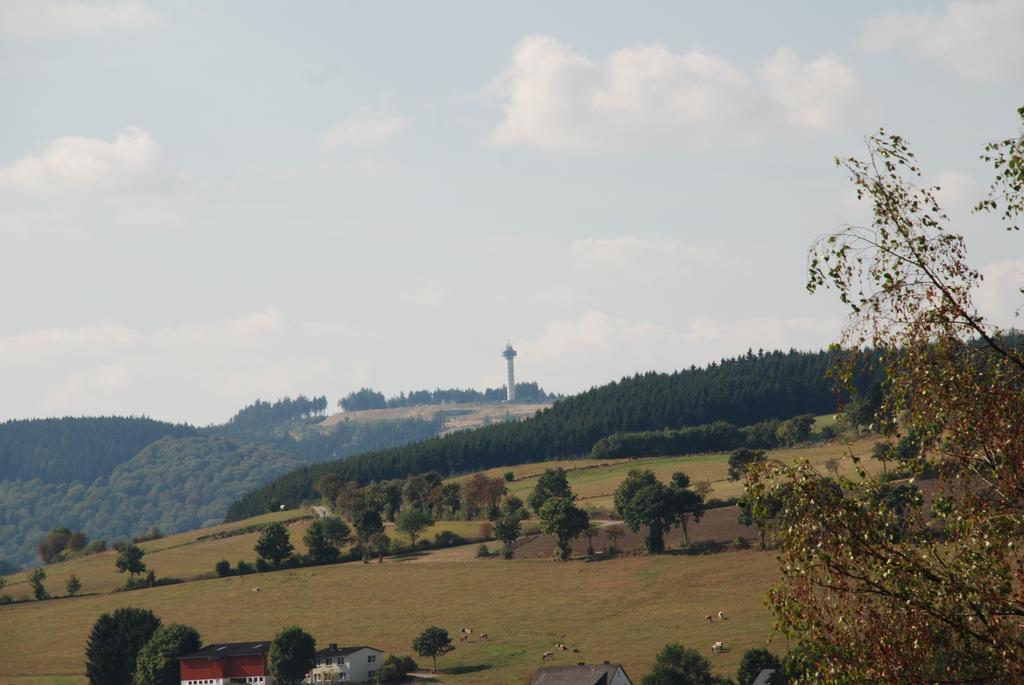 Pension Robin Hood Willingen  Eksteriør billede