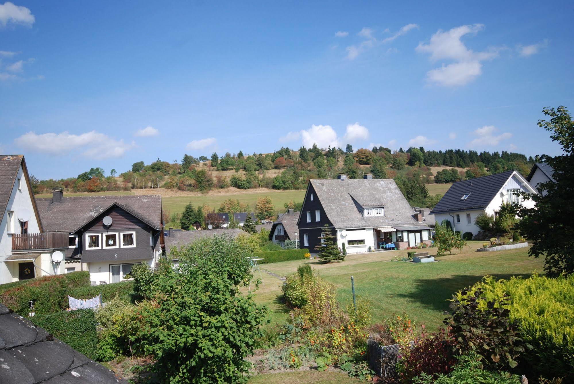Pension Robin Hood Willingen  Eksteriør billede